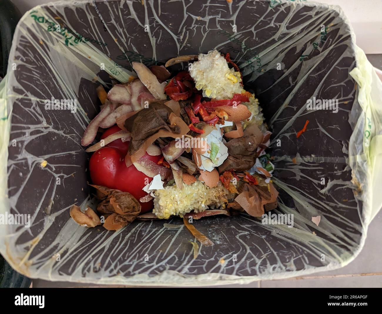 A closeup of a domestic compost garbage bin in a restaurant, filled