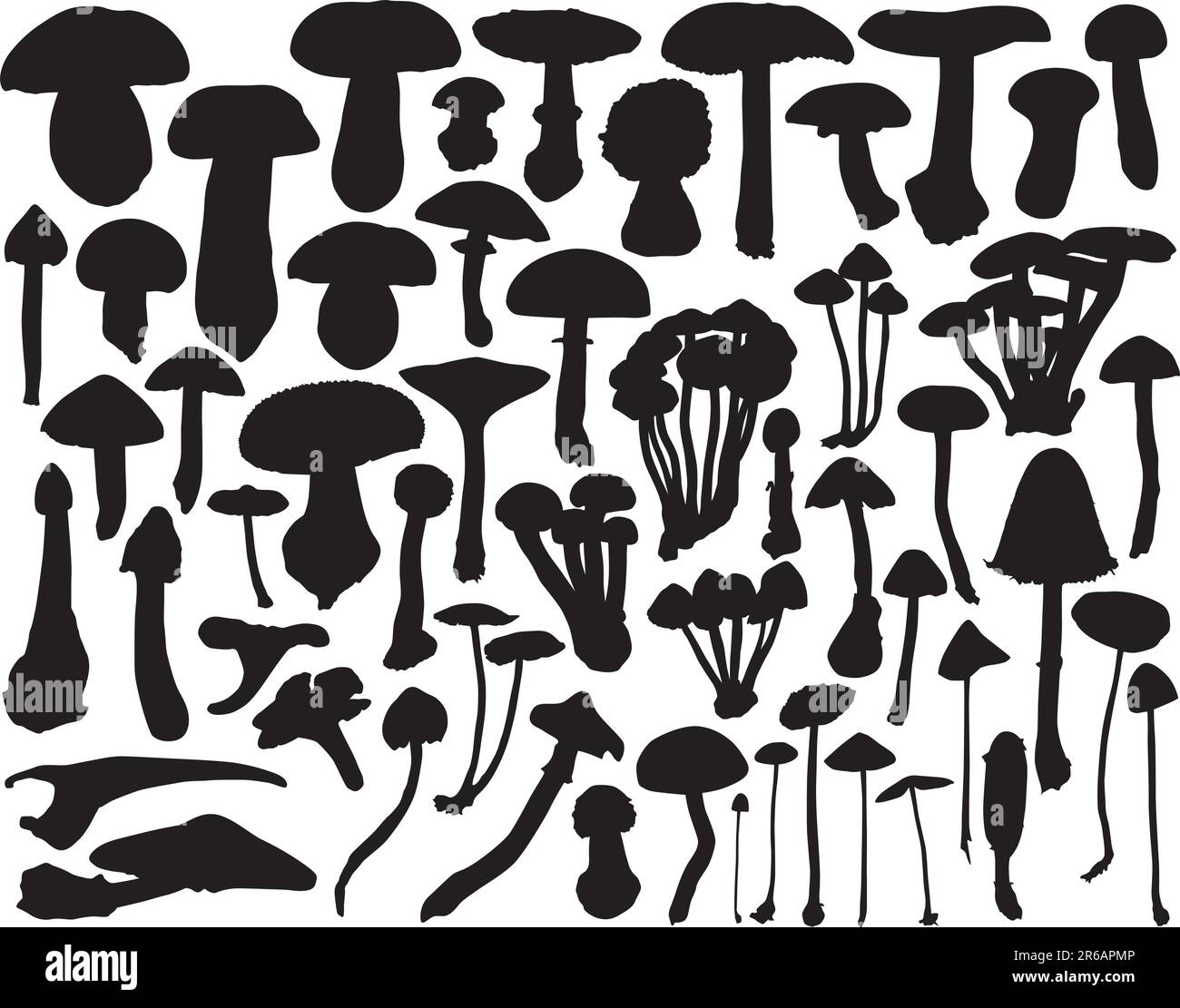 Collection of vector mushroom and toadstool outlines Stock Vector Image ...