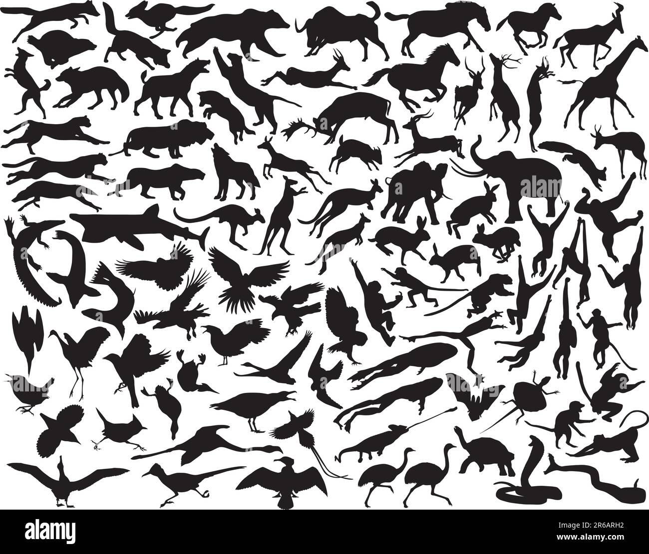 Collection of vector silhouettes of a wide range of active animals Stock Vector