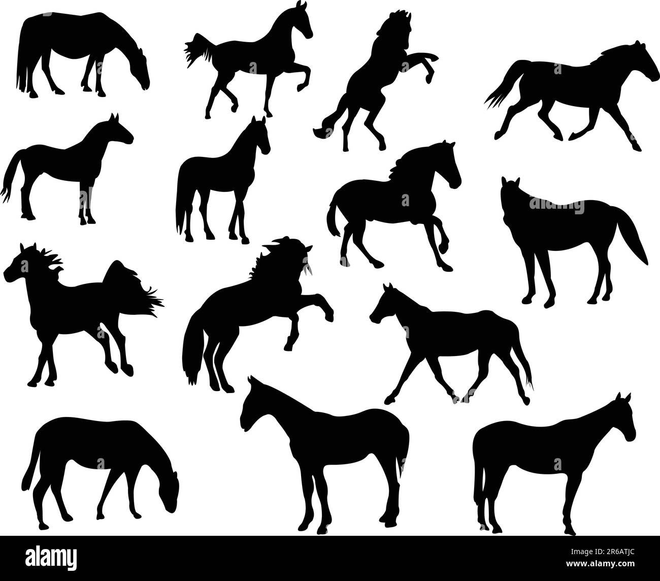 collection-of-high-quality-horse-silhouettes-vector-stock-vector