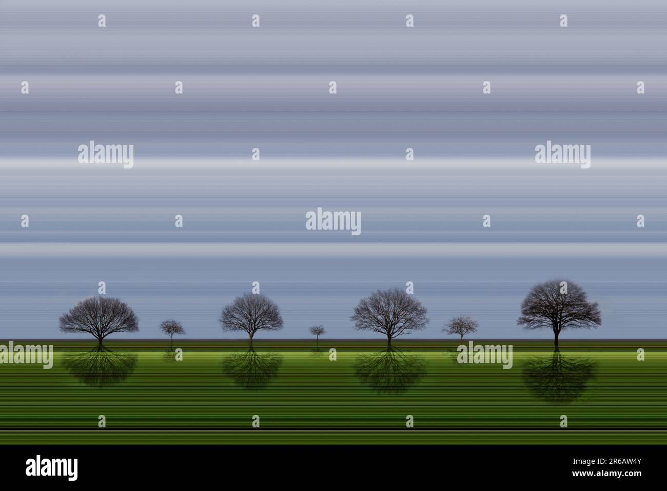 Stylised abstract image of 7 trees, 4 large and 3 small, standing on a green horizon, suggests growth or creating new ideas. Includes space for text. Stock Photo