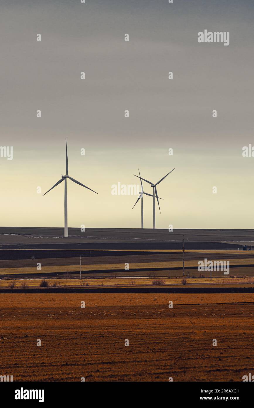 Three wind turbines standing in an expansive grassland, surrounded by ...