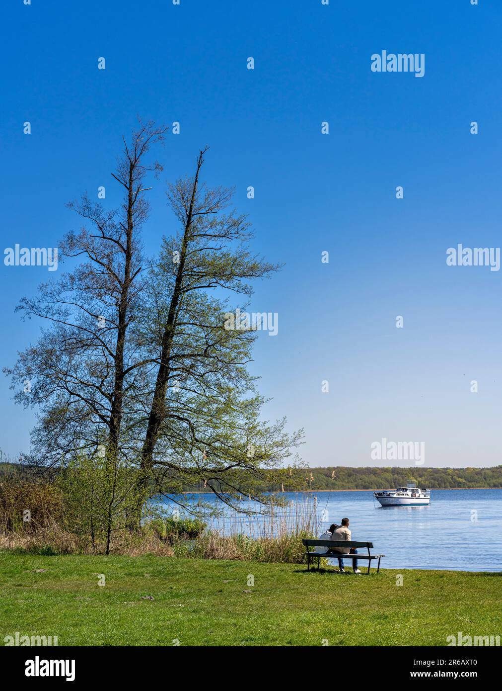 Landscape At The House Lake In The Castle Park Petzow, Potsdam-Mittelmark, Brandenburg, Germany Stock Photo