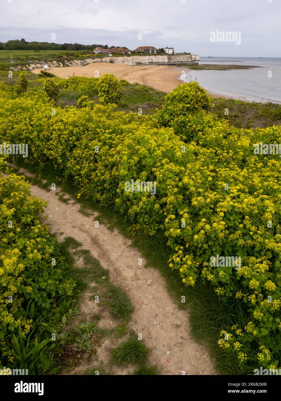 BROADSTAIRS, ENGLAND MAY 08 Nearby scenery for the North Foreland