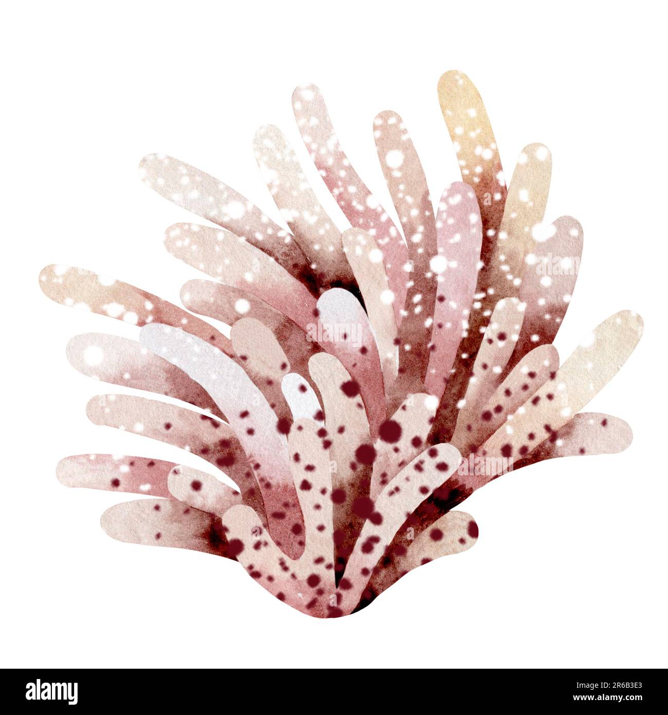 Watercolor illustration of underwater sea corals. Marine underwater plants. Illustration isolated on a white background. Postcard, sticker Stock Photo