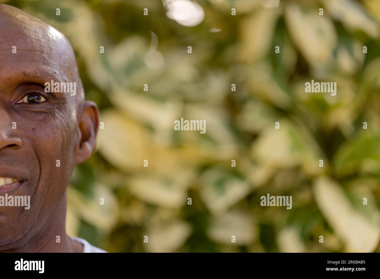 Man in nature hi-res stock photography and images - Alamy