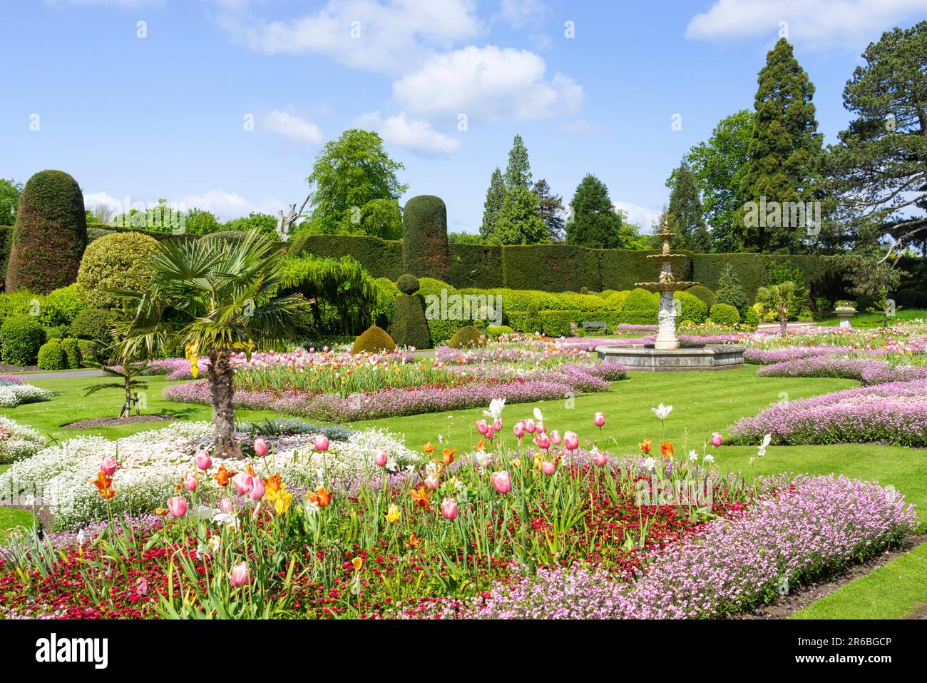 Brodsworth Hall and Gardens Formal gardens or Parterre at Brodsworth hall near Doncaster South Yorkshire England UK GB Europe Stock Photo