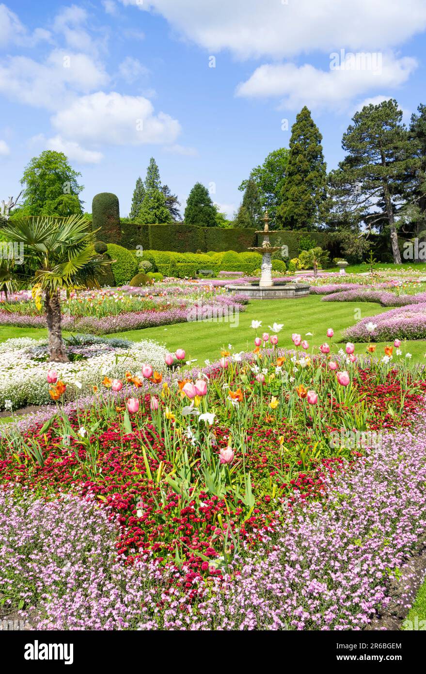 Brodsworth Hall and Gardens Formal gardens or Parterre at Brodsworth hall near Doncaster South Yorkshire England UK GB Europe Stock Photo