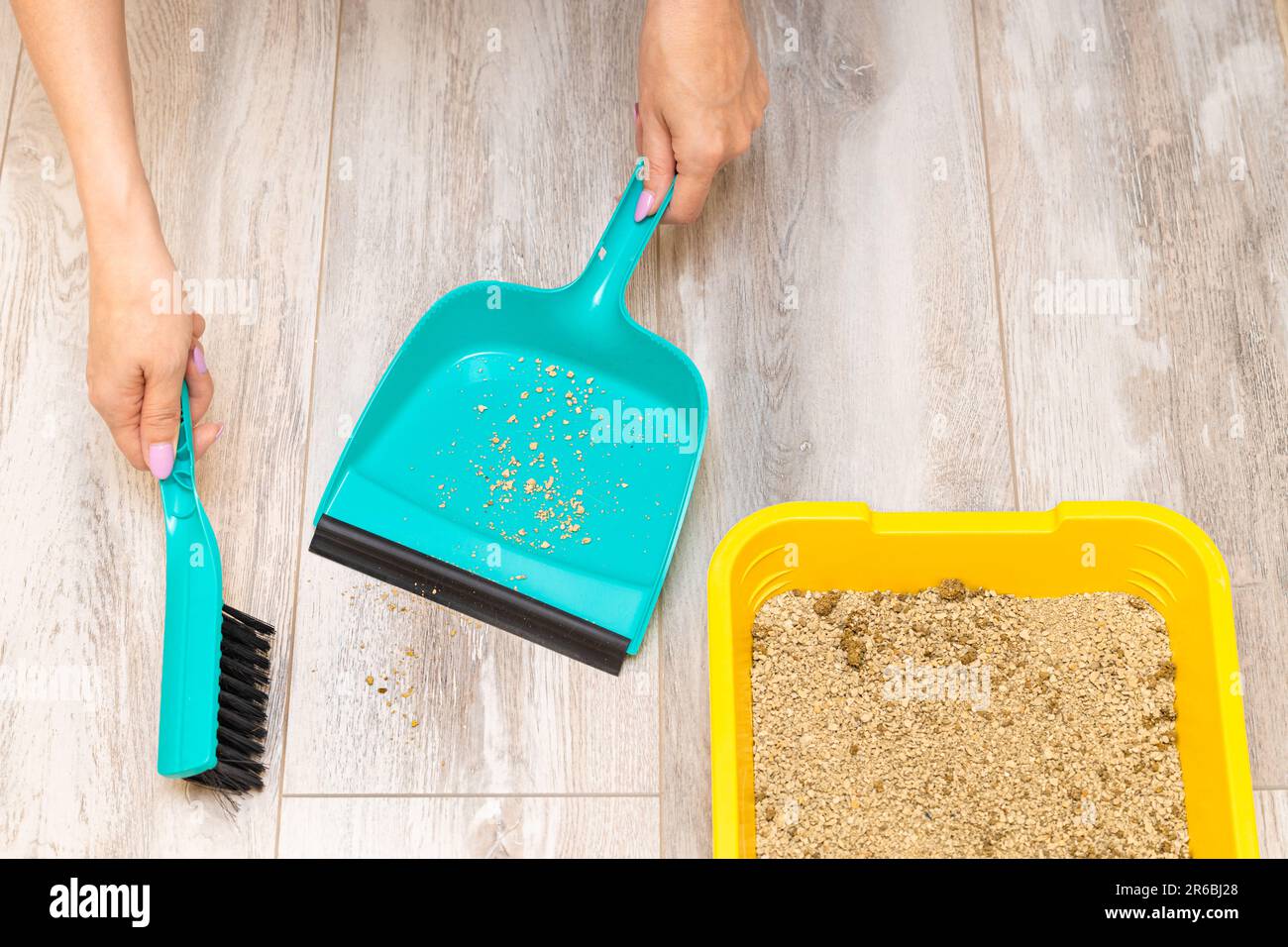 woman sweeping dry litter from a cat litter box with a brush. cleaning up after the cat. dry cat