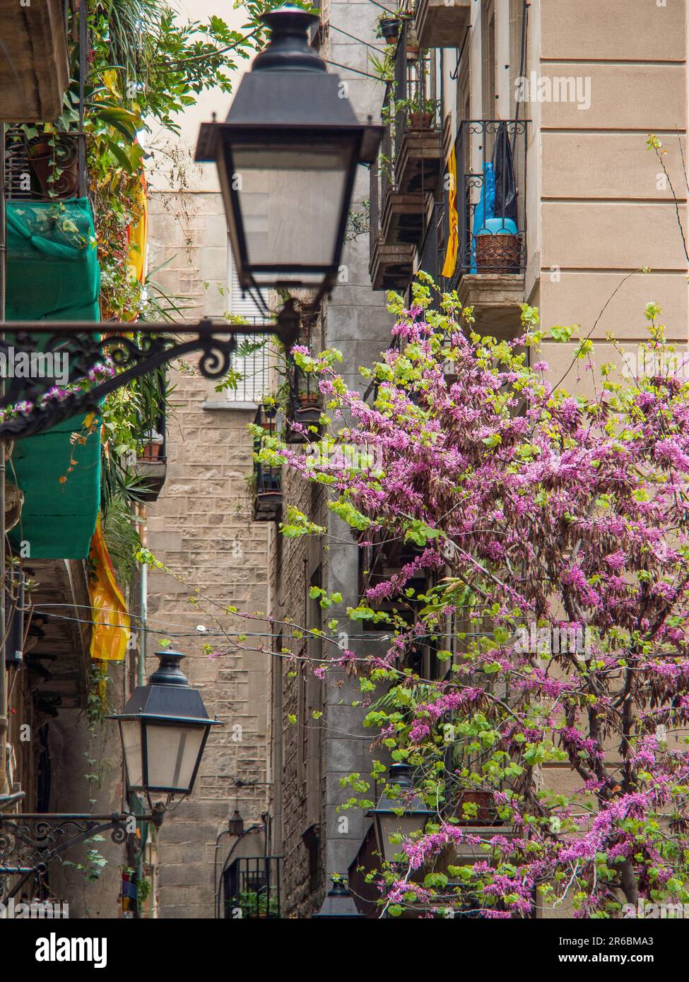 the city of Barcelona Stock Photo - Alamy