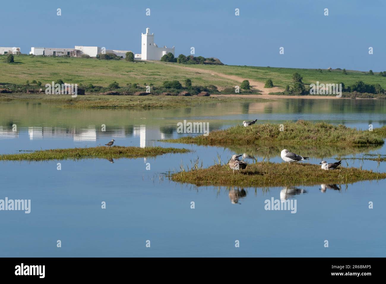 A white-washed building between the Sidi Moussa–Oualidia RAMSAR wetland site and the Atlantic ocean with seagulls and waders on grass islands Stock Photo