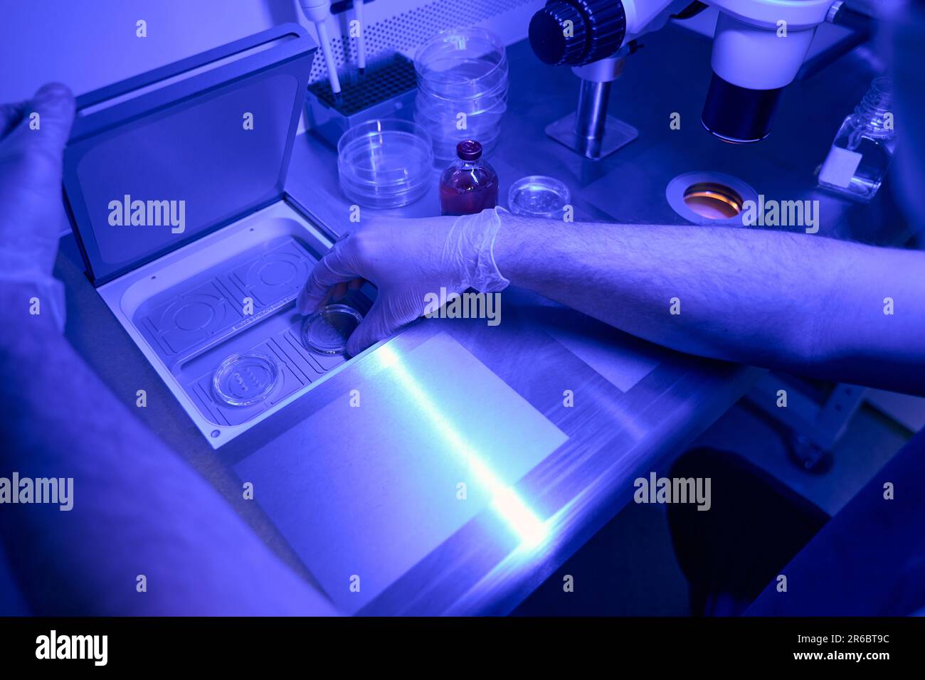 Genetic laboratory worker conducting research in uv light Stock Photo ...