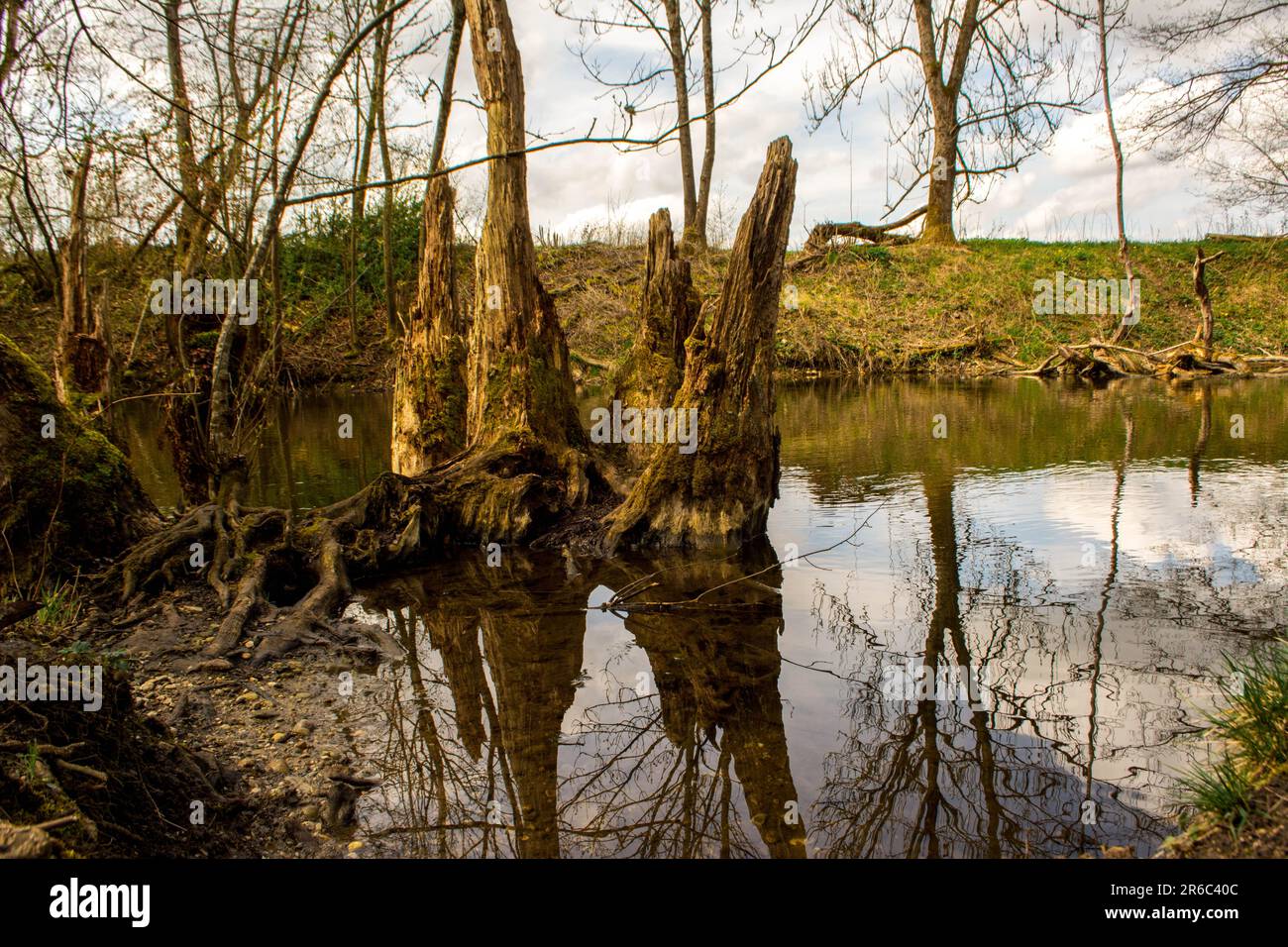 Goetheteich hi-res stock photography and images - Alamy