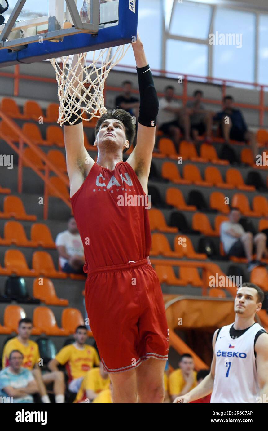 He is only 17 years old, but he is already a dizzying 231 centimeters ...