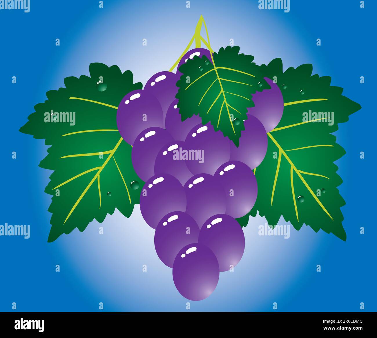 Purple grape on blue background. Vector illustration. Stock Vector