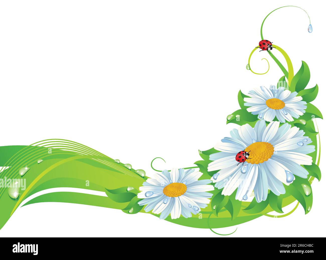 Decoration with daisy , ladybugs and water drops Stock Vector