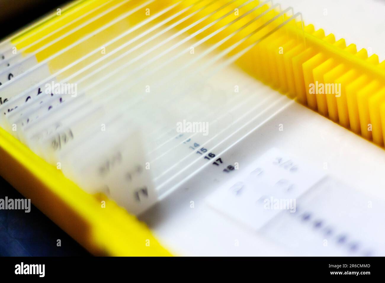 Glass microscope slides in a slide box Stock Photo Alamy