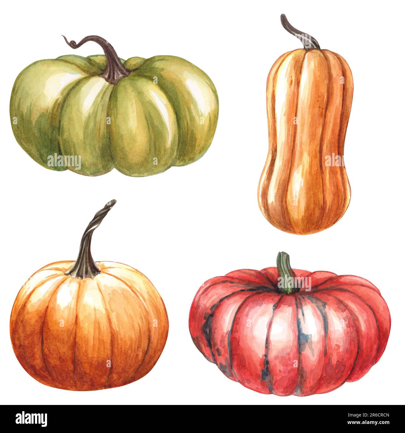Set of pumpkins isolated on white background. Watercolor hand drawn ...