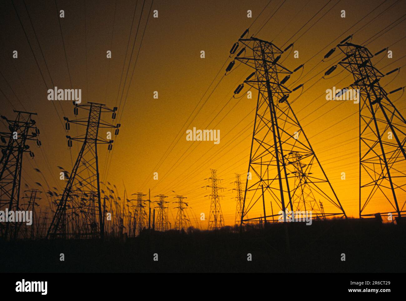 High voltage lines carried by steel towers silhouetted at sunset Stock Photo