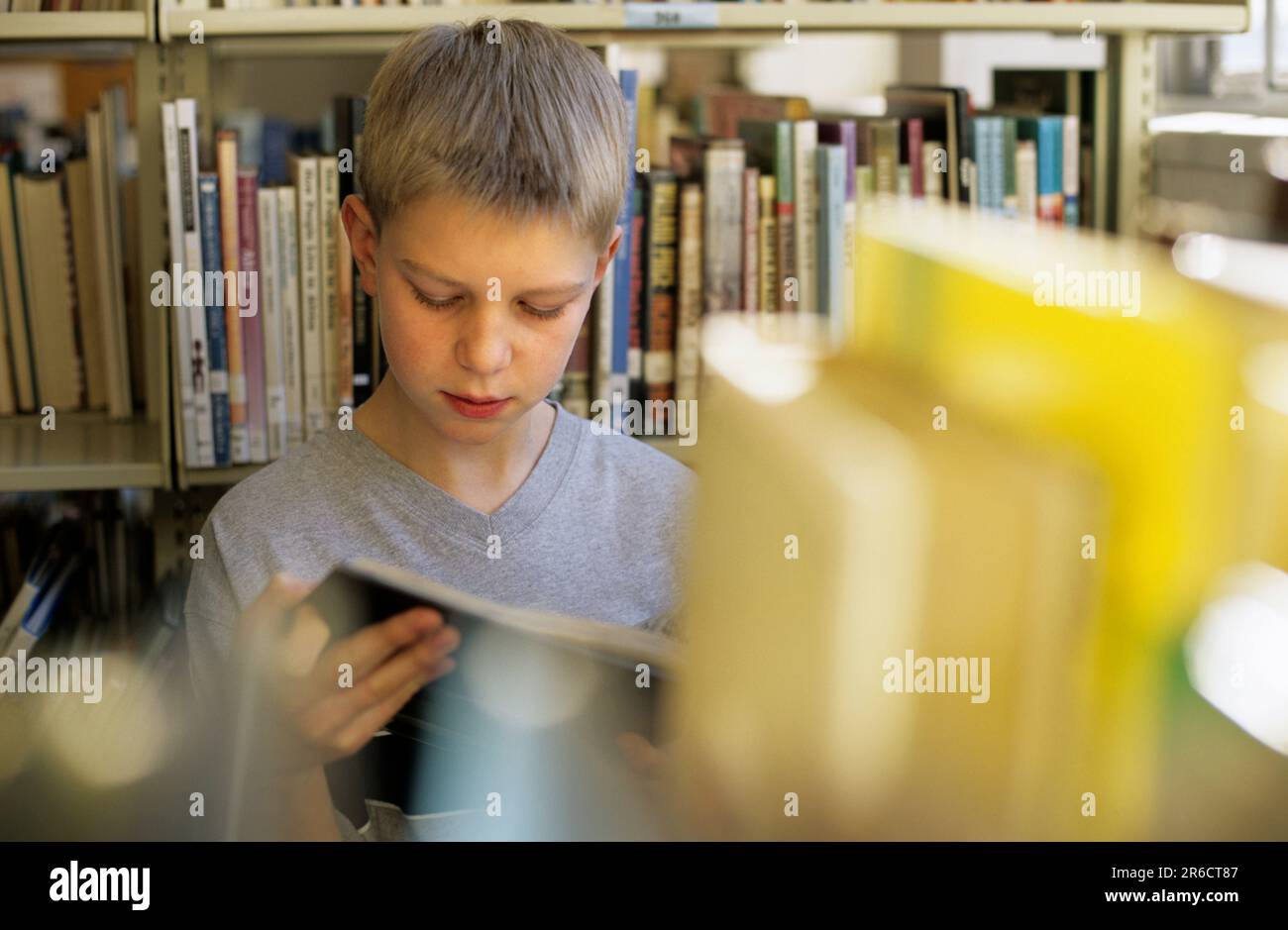 pupil reading a book in the school library Stock Photo