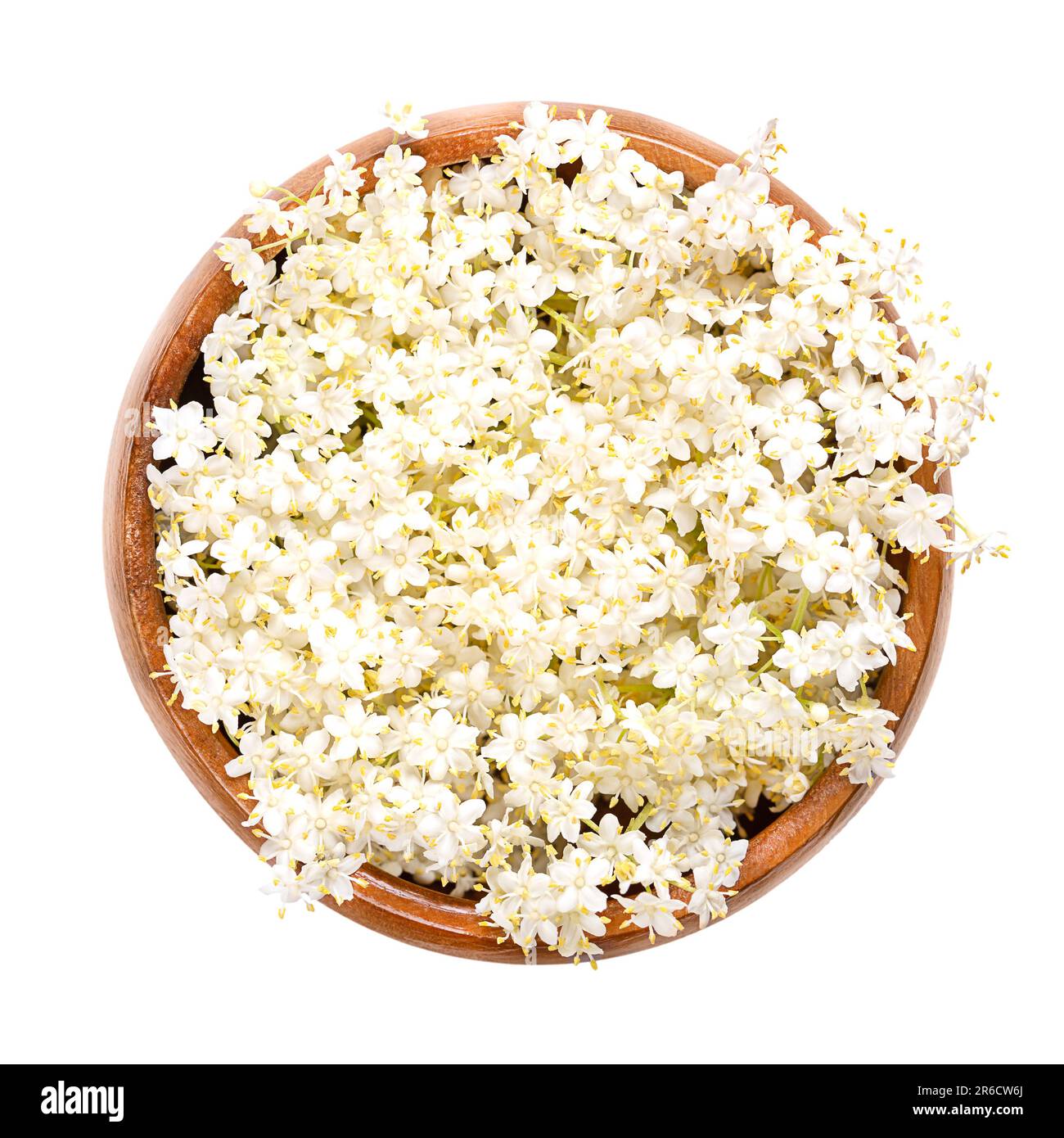 Fresh flowers of of European black elder, in a wooden bowl. Blossoms of Sambucus, also known as elderflower, used as tea in traditional medicine. Stock Photo