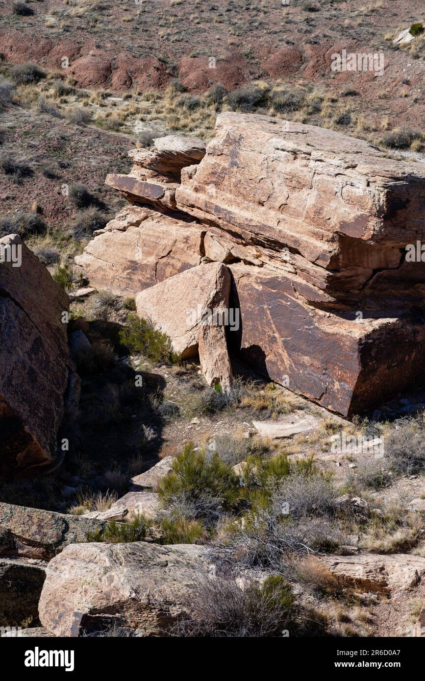 Photograph Petrified Forest National Park at the petroglyphs at ...