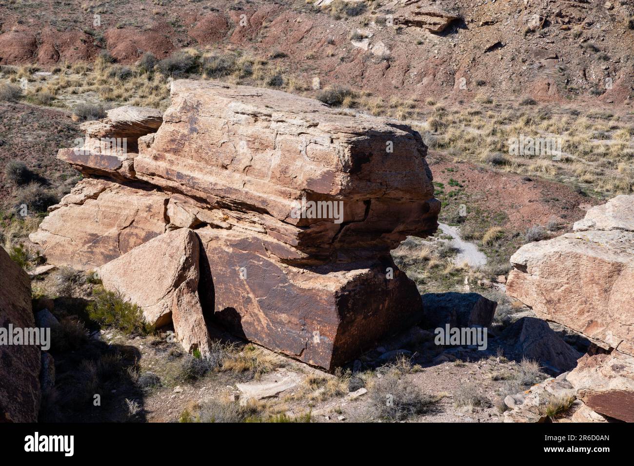 Photograph Petrified Forest National Park at the petroglyphs at ...