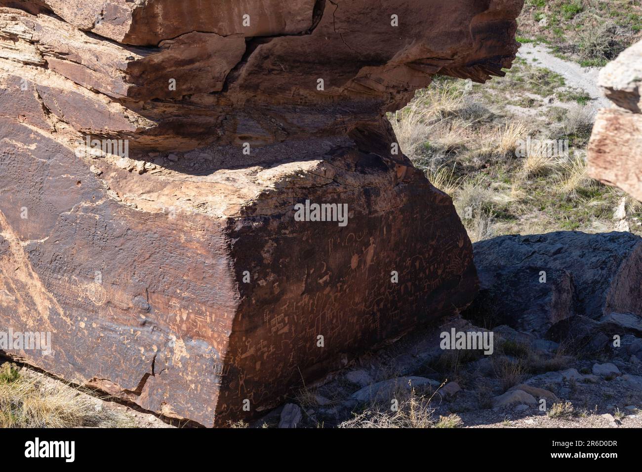 Photograph Petrified Forest National Park at the petroglyphs at ...