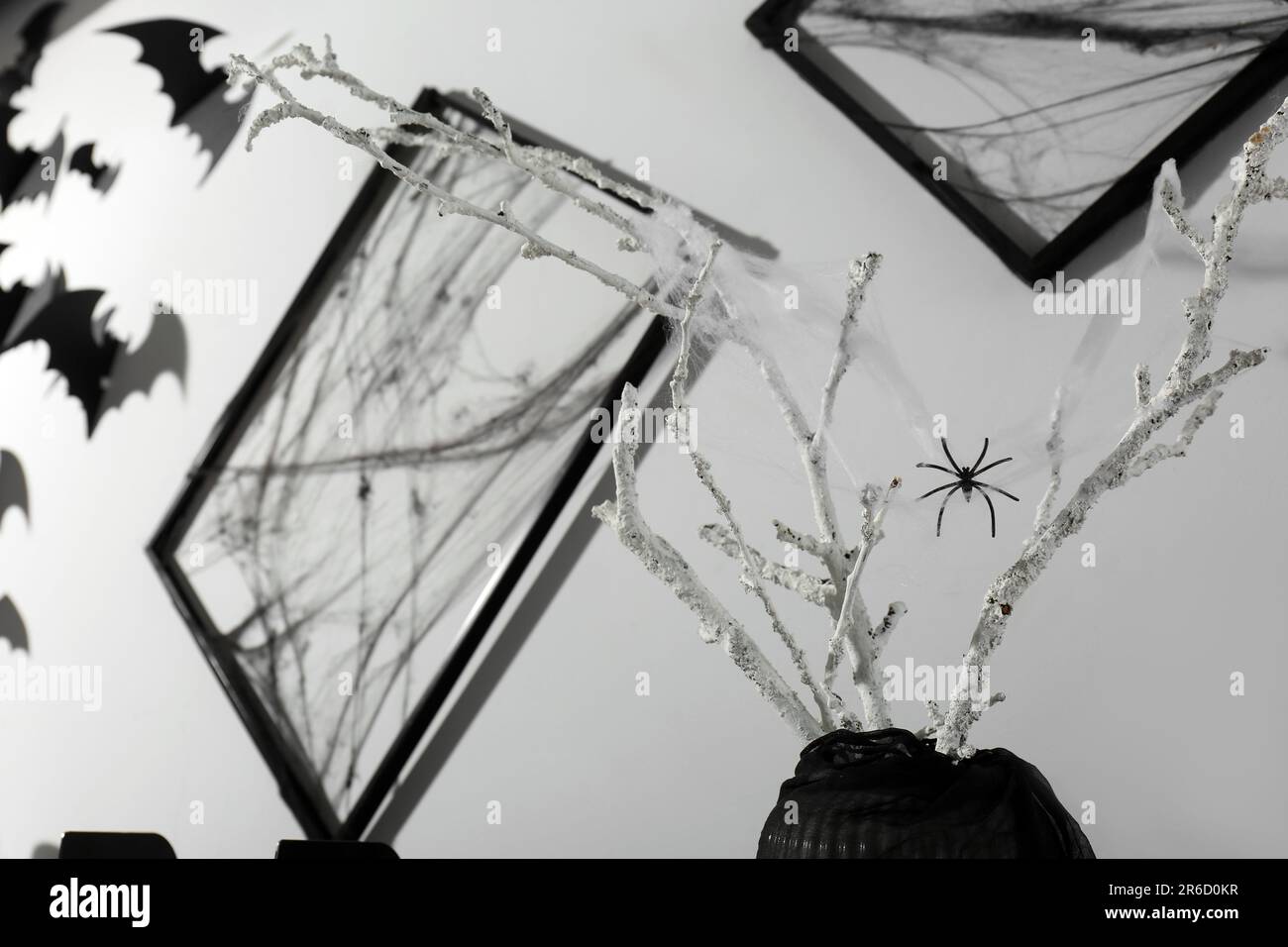 Black frames with cobweb on white wall and branches in vase decorated ...