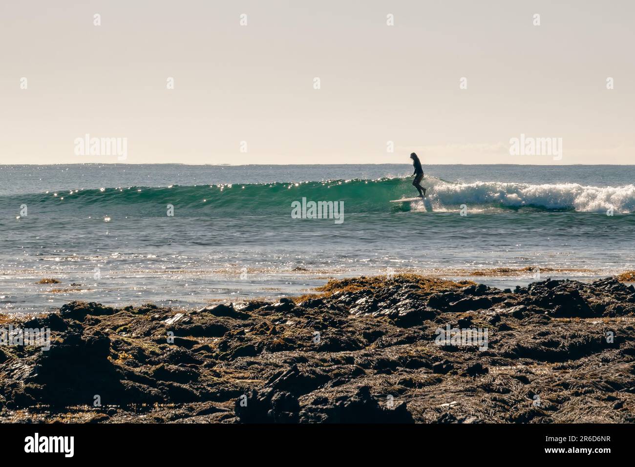 Longboard Surfer in Arrawarra Headland, New South Wales, Australia Stock Photo