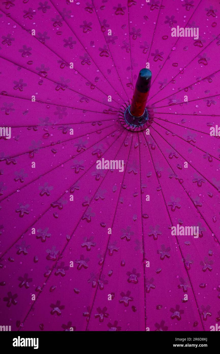 Modern Japanese Umbrellas in a Japanese Shop in Yufuin Hot Springs Town