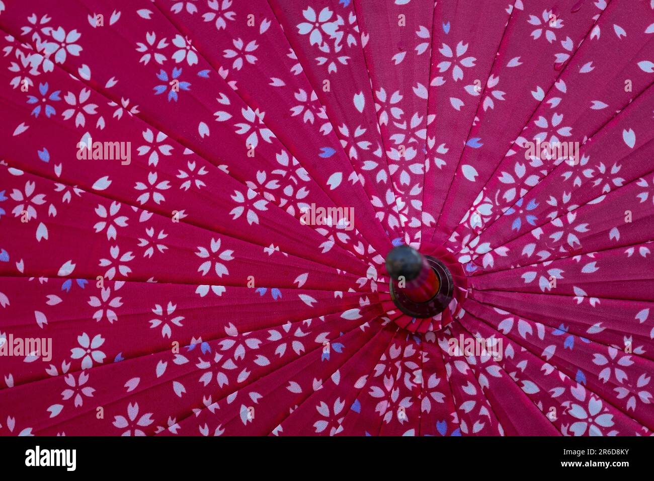 Modern Japanese Umbrellas in a Japanese Shop in Yufuin Hot Springs Town