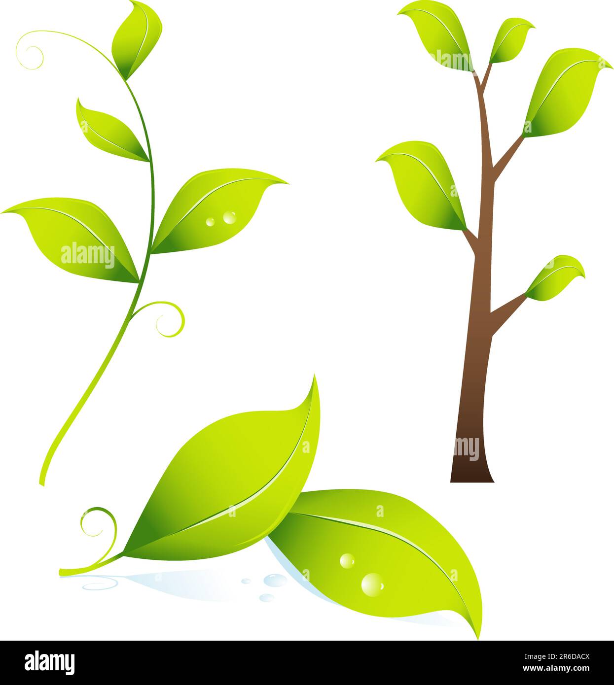 Set of 3D images of a tree and green leaves Stock Vector Image & Art ...