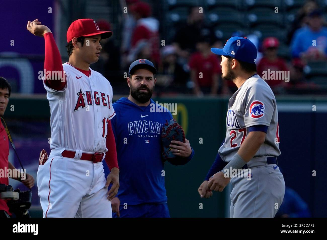 Seiya Suzuki goes long for Cubs; Shohei Ohtani hits 21st for Angels - The  Japan Times