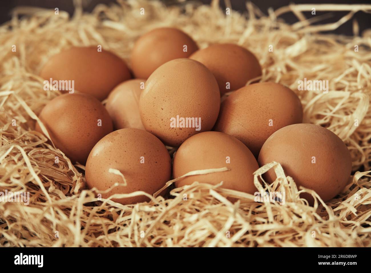 Fresh eggs in a straw nest Stock Photo