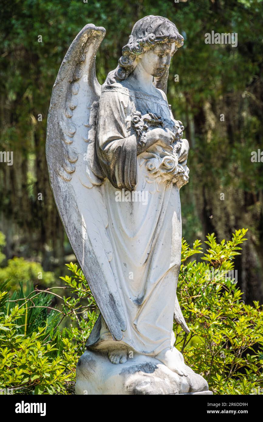 Angel statue at Bonaventure Cemetery in Savannah, Georgia. (USA) Stock Photo
