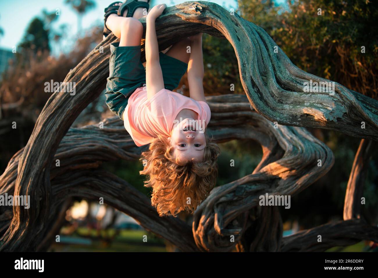 Child climbing tree. Smiling funny kid clim tree in the garden. Stock Photo