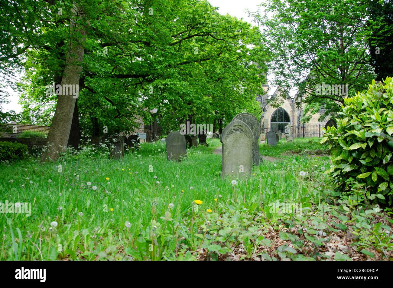 Full frame image of cemetery among trees and shrubs and church in the ...