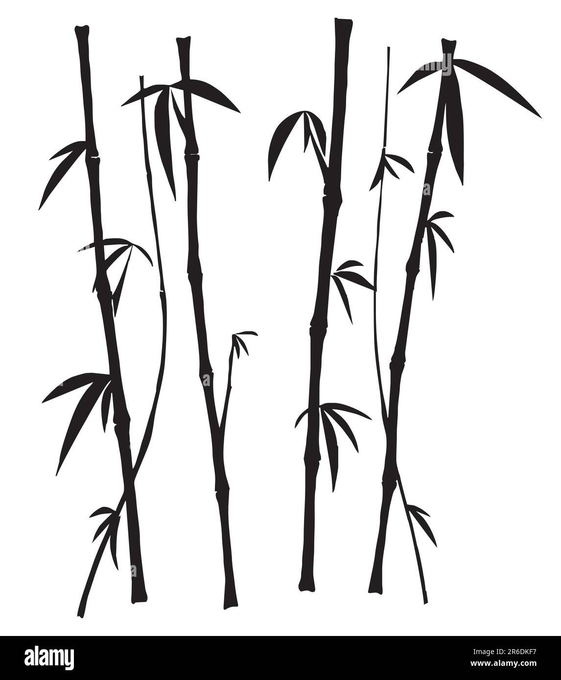 Bamboo over the white background Stock Vector