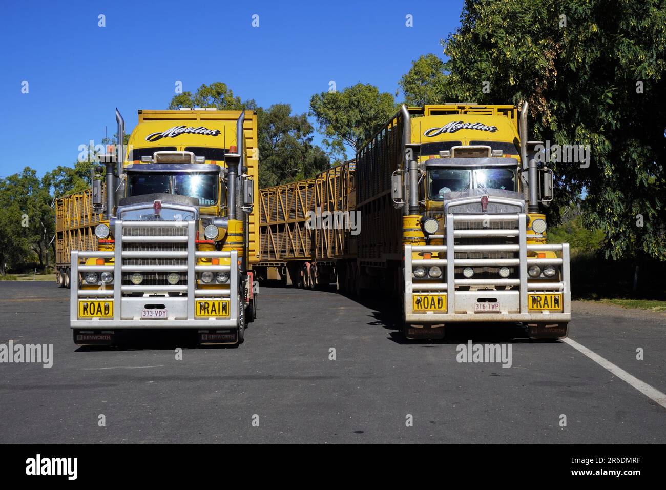 Two Identical Yellow Road Trains at a Rest Stop along the Dawson Highway near Springsure, Queensland Stock Photo