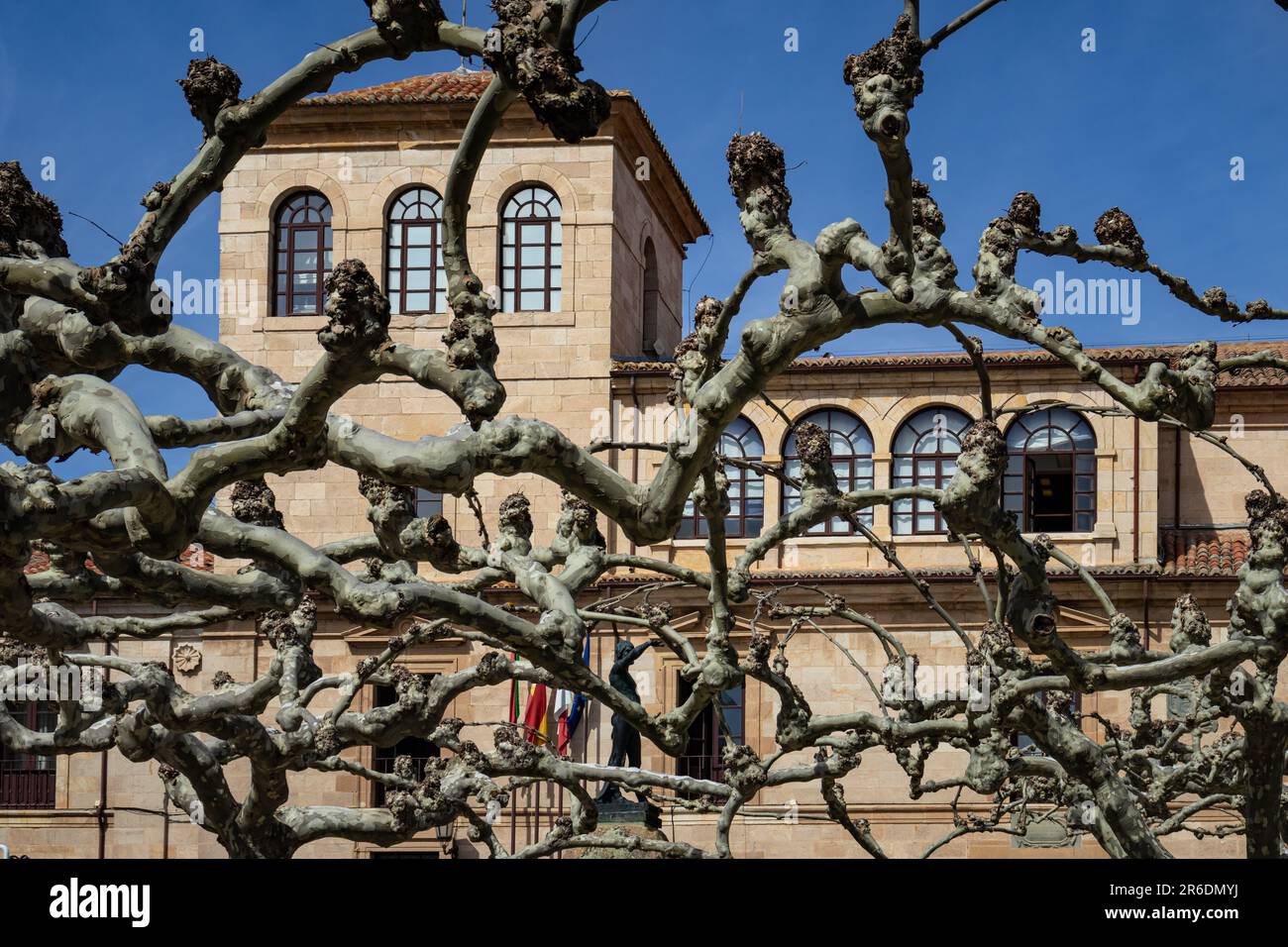 Provincial Historical Archive of Zamora from behind of crooked trees, Spain Stock Photo