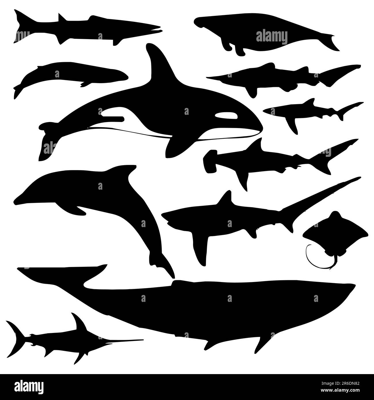 collection of sea animals Stock Vector