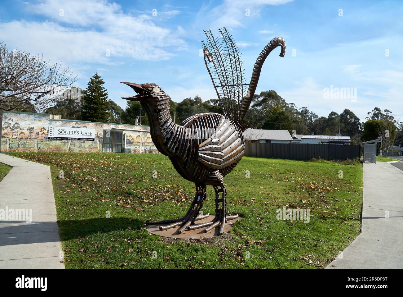 The Big Lyre Bird at Cann River Victoria Stock Photo