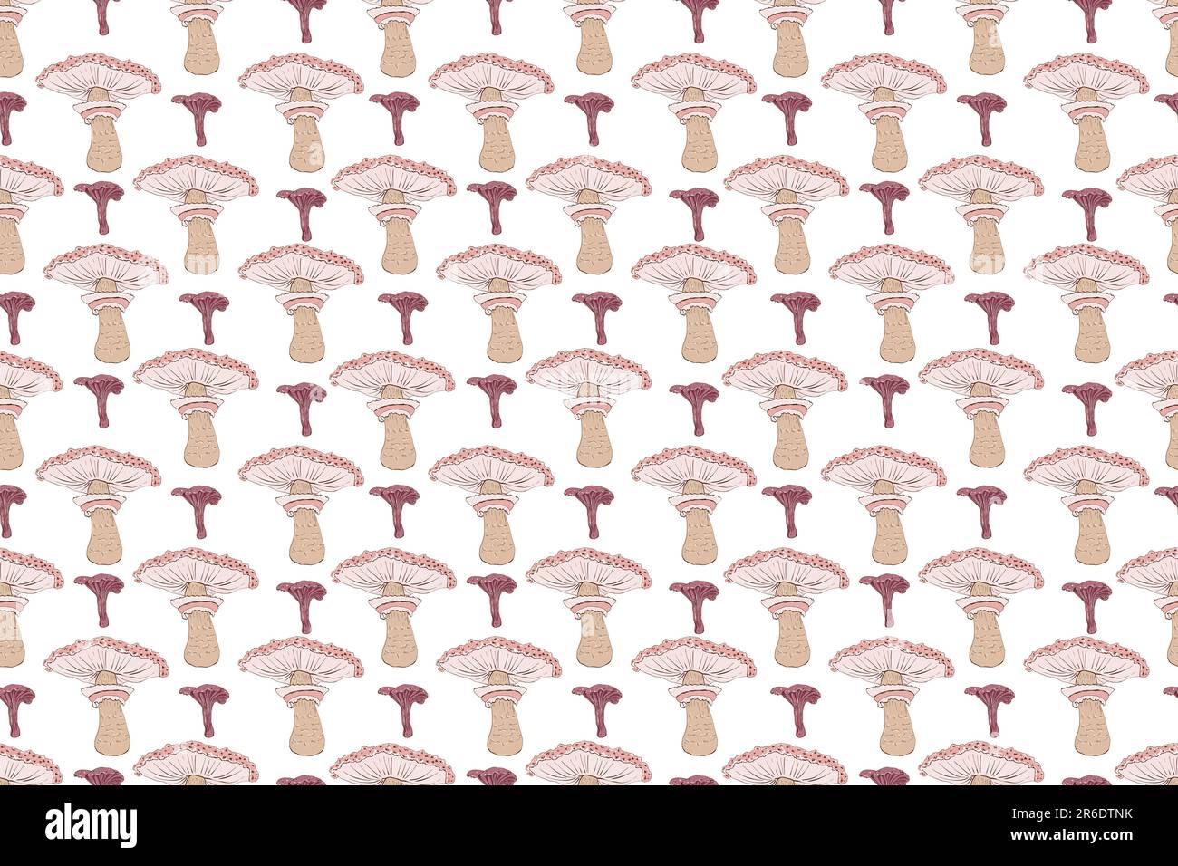 Seamless pattern of mushrooms. Hand drawing illustration in cartoon style isolated on white Stock Photo