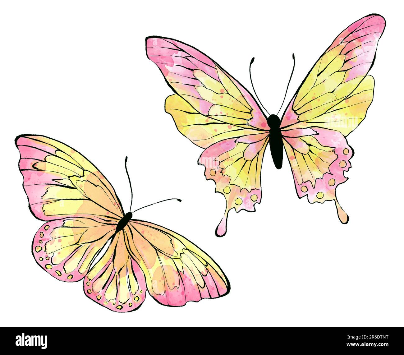 Set of Watercolor pink Butterfly, isolated on white background Stock ...