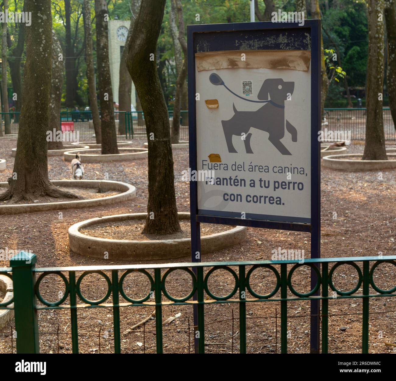 Area Canina, Dog exercising area in city park, Parque Mexico, Colonia  Hipodromo, La Condesa neighbourhood, Mexico City, Mexico Stock Photo - Alamy