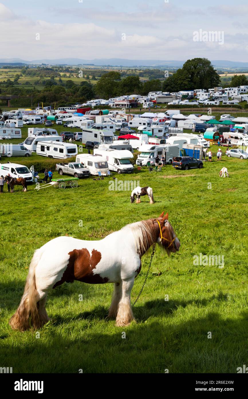 Horse fair appleby hi-res stock photography and images - Alamy Horse fair appleby hi-res stock photography and images - Alamy