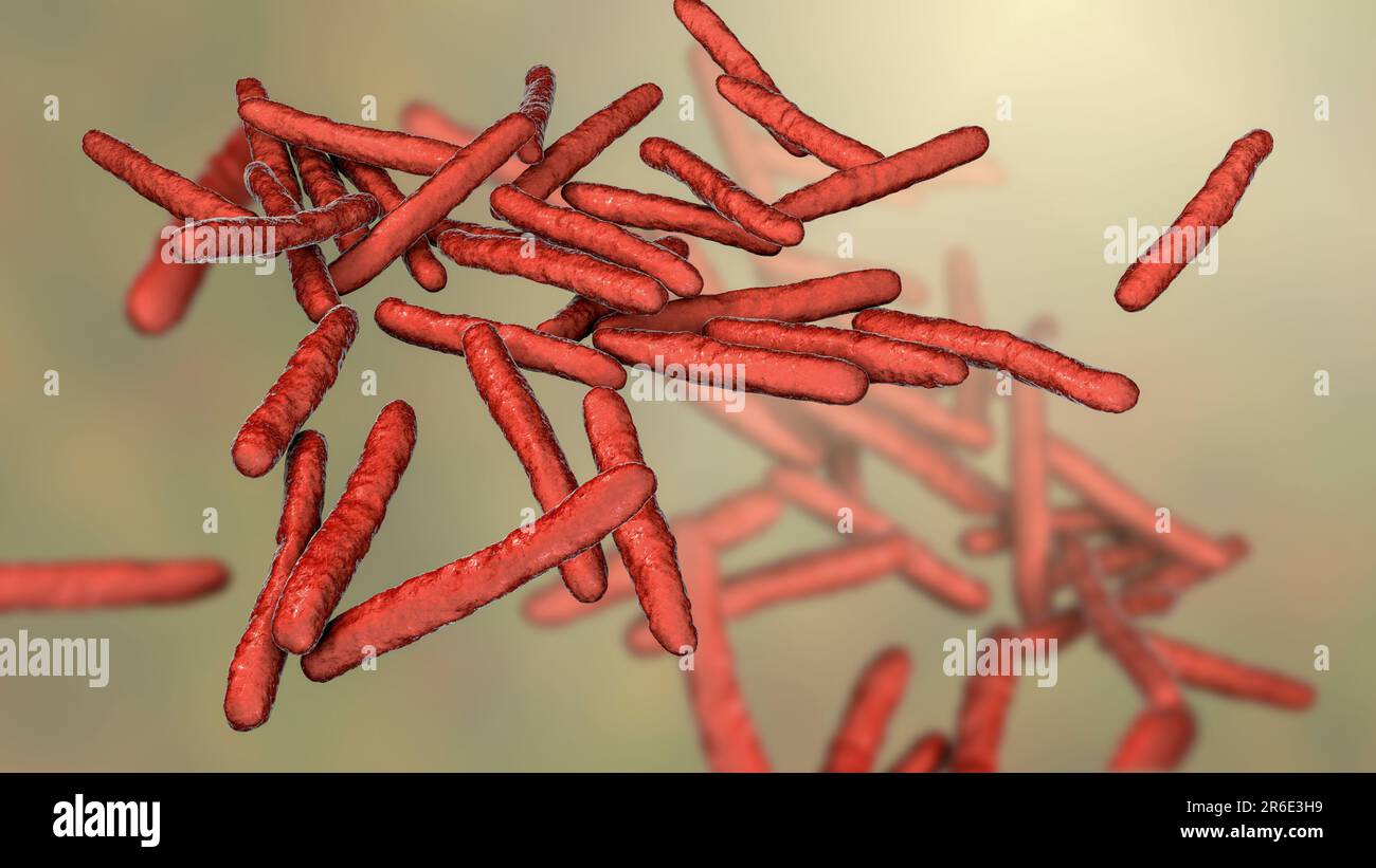 Leprosy bacteria. Computer artwork of Mycobacterium leprae bacteria, the Gram-positive rod-shaped bacteria which cause the disease leprosy. Stock Photo