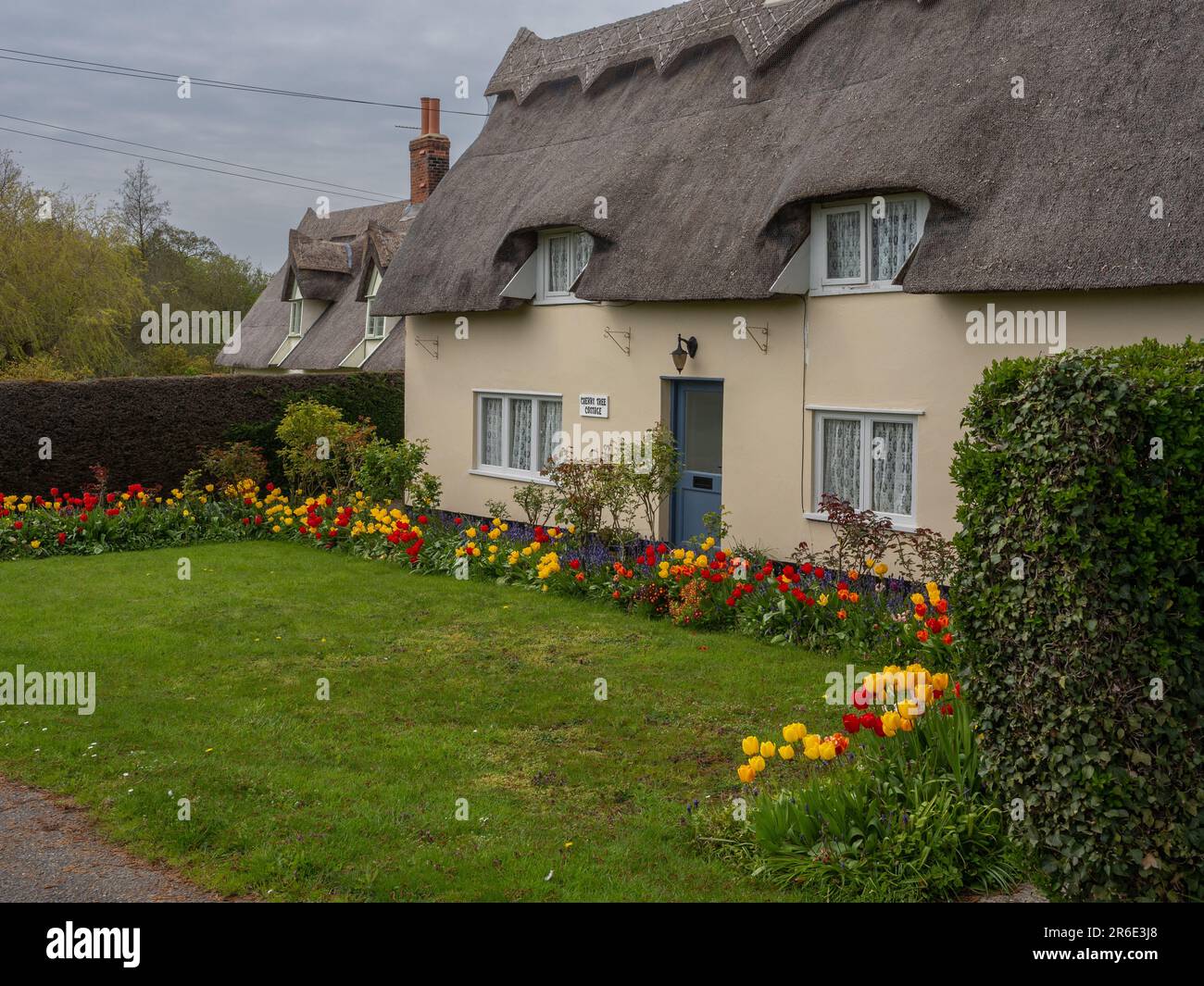 Attractive thatched cottage on the village green, Denston, Suffolk, UK Stock Photo