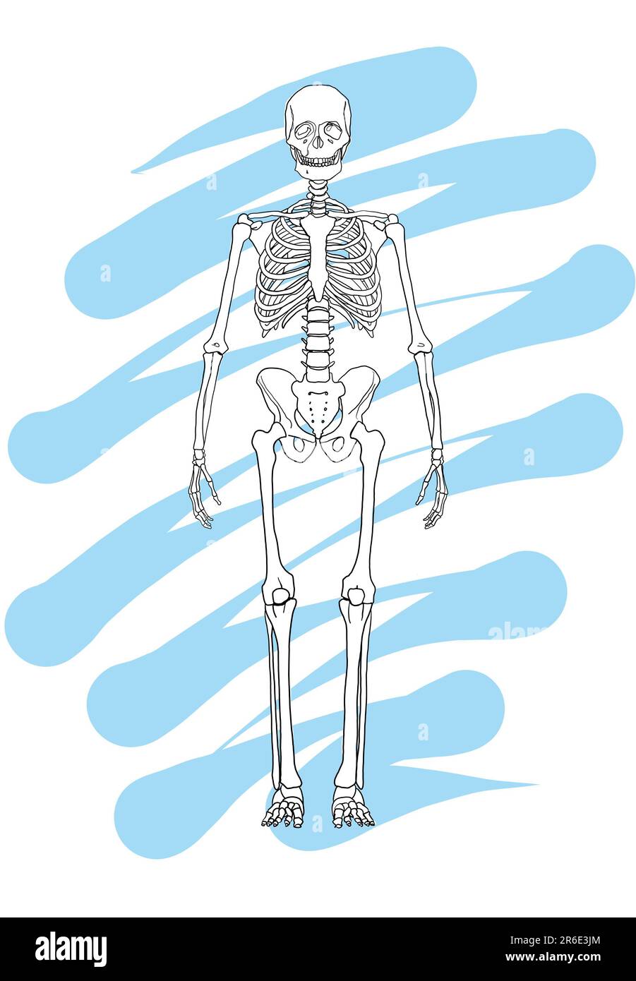 Skeleton Line Drawing Spaceman Hand Drawn Blue Splash Graphic Retro Illustration Overlay Layer Illustration Stock Photo